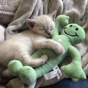 Meet your Posher, Gaby